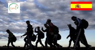 اللجوء في إسبانيا