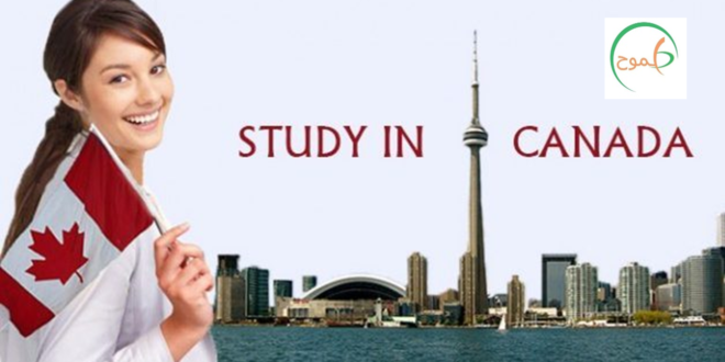 تصريح الدراسة في كندا